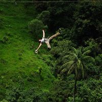 Tomás  Flores's Photo