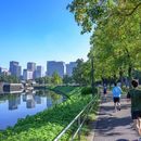 Bilder von Imperial Palace 5k Run