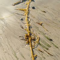 andoni rodriguez's Photo