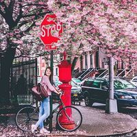 Yasmin Nhtawy's Photo