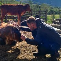 Thiago Batista's Photo