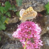 Elad et Anouk Moullet's Photo