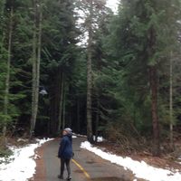 Betty Gorman的照片