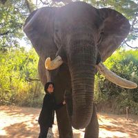 Krystal Gerena's Photo