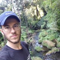 Bastian Smet的照片