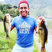 Фотографии пользователя Luchofigo Hernandez