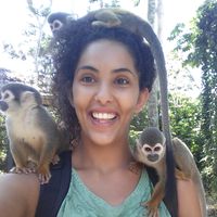 shani nissim的照片