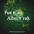 Furkan Albayrak's Photo