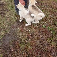 Martin Bryld的照片