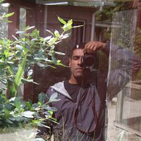 Фотографии пользователя Daryoush Shokrgozar