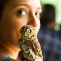 Le foto di Nataly Meira