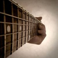 Photos de András Broskó