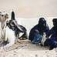 Daoud  Faza的照片