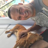 Fotos von Ahmed Youssef