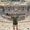 Mohamed Ali's Photo