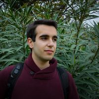 Rui Carneiro的照片