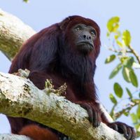 Fotos de Claris Chirino