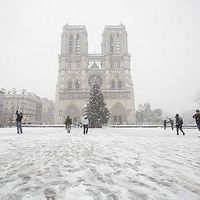 Sébastien LONGUET's Photo