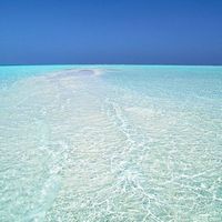 David Elliott的照片