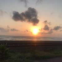 Tee Tee Tee的照片