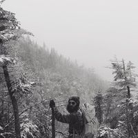 Benjamin Brewer的照片