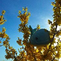 Alexa Chapotel's Photo