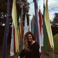 Kallista Bird's Photo