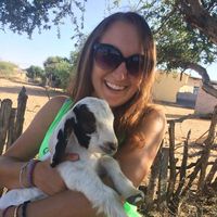 Фотографии пользователя Lillie Scribner