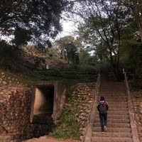 Ivan Tarasov's Photo