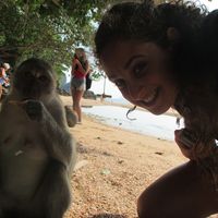 Zdjęcia użytkownika Amit Bar