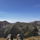 Camping In Carpathians 's picture