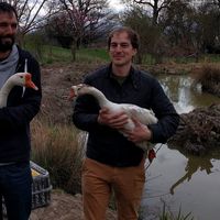 Roman MURGAT的照片