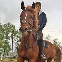 Ágoston Jánosi's Photo