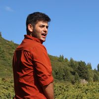 Nadav Lieberman的照片