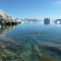 Asta Fabricius's Photo