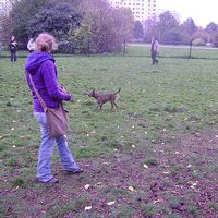 kitty Lembrechts's Photo