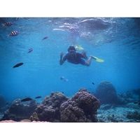 Ahmad Syururi的照片