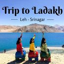 Trip To Leh - Ladakh By Road From Delhi 's picture