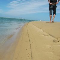 Jared Dyson的照片