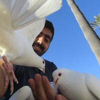 Photos de Vugar Mikayilli