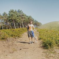 Fernando Alonso Matilla的照片