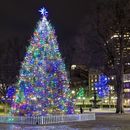 Boston Tree Lighting's picture