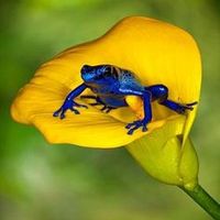 Maria Valera's Photo