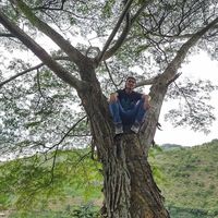 Bryan Araujo Rojas的照片