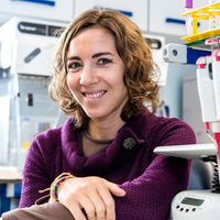 Catarina Carvalho的照片