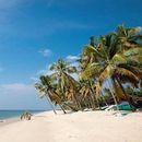 Day Trip To Marari beach's picture