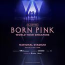 BLACKPINK BORN PINK WORLD TOUR SINGAPORE's picture