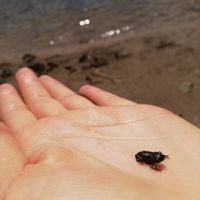 Maria Moldovan's Photo