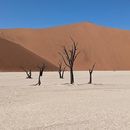 Sossusvlei's picture