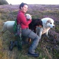 Fotos de Hasselin Anaï